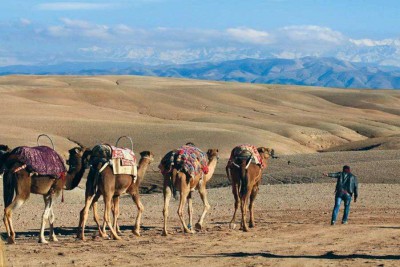 Marrakech - Tahanouet - Asni - Plateau de Kik - Désert d'Agafay