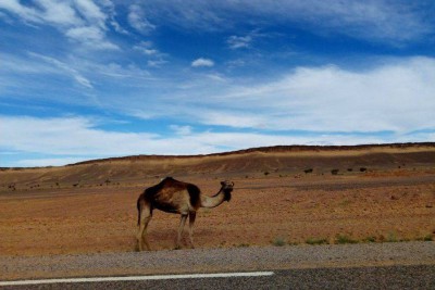 Zagoura dunes – Agdez – Ouarzazate – Tizi N’tichka - Marrakesh